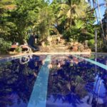 Miniatura del Blog
